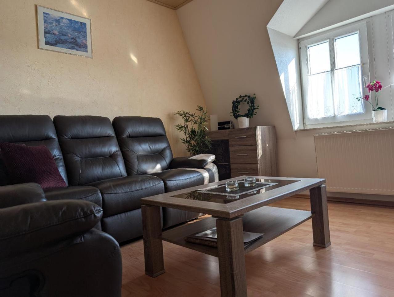 Ambiente-An-Der-Elbe-Wohnung-Og Δρέσδη Εξωτερικό φωτογραφία